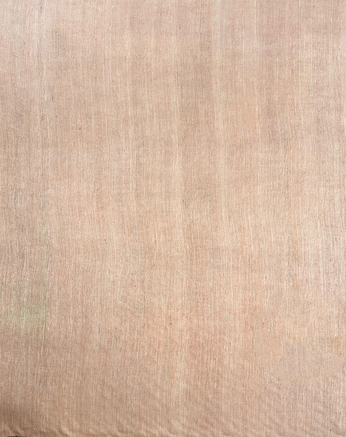 Vintage Raw Silk - Beige